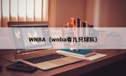 WNBA（wnba有几只球队）