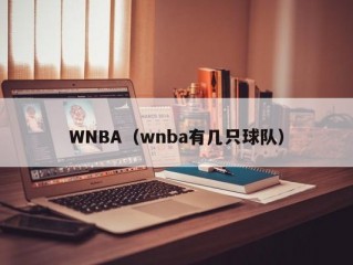 WNBA（wnba有几只球队）