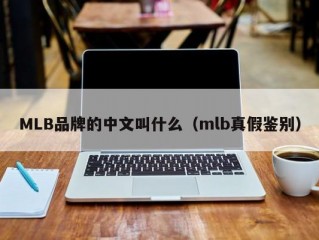MLB品牌的中文叫什么（mlb真假鉴别）