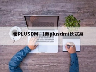 秦PLUSDMI（秦plusdmi长宽高）