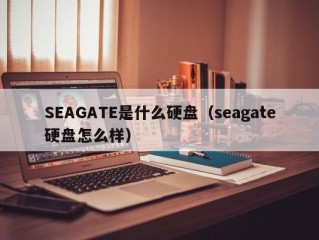 SEAGATE是什么硬盘（seagate硬盘怎么样）
