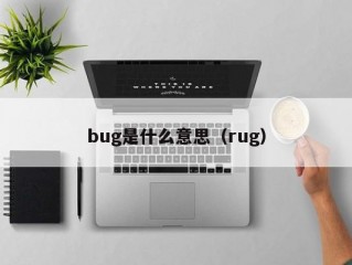 bug是什么意思（rug）